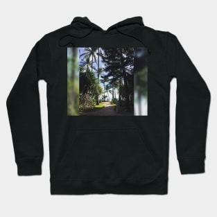 Palm tree Hoodie